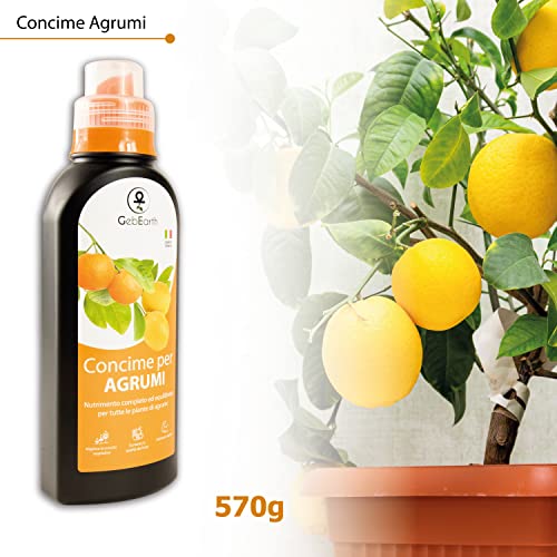 GebEarth - Concime per agrumi liquido da 570g con tappo dosatore, aumenta la produzione dei frutti e contribuisce al mantenimento in salute dei Limoni e tutti gli altri Agrumi [NPK 5-7-8] - 8earn