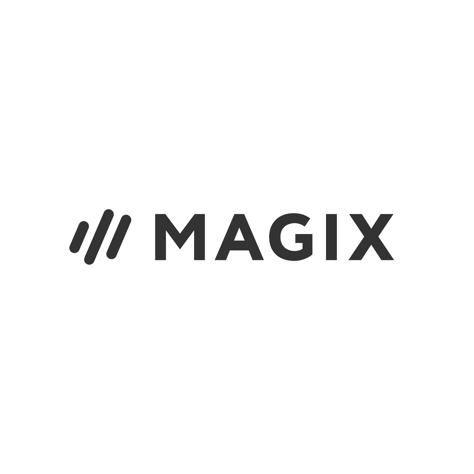 Magix & Vegas Creative Software