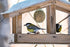 60 Palline Di Grasso Per Uccelli Selvatici Con Mangiatoia Per Uccelli - Cibo Uccelli Selvatici con Mangiatoia Per Uccellini Da Esterno 21x7 cm - Cibo Adatto Come Alimento Per Tutto L'anno