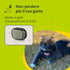 Kippy Evo - GPS Collar for Dogs and Cats with Tracker and Tracker of Activity and Health Status - Accessories for Dogs and Cats - with Long-Lasting Battery and LED Flashlight - Green