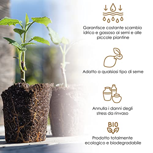 GebEarth - Vasetti per Piantine in Fibra di Torba, confezione da 120 vasetti di torba, ideale per germinazione e taleaggio. [prodotto 100% ecocompatibile e biodegradabile] - 8earn