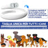 Collare Antiparassitario Per Cani, Collare Antipulci Cane Sicuro Ed Efficace Composto Da Oli Essenziali Naturali Al 100%, Efficacia 12 Mesi 65cm Collare Antizecche Per Cani Per Cani Di Tutte Le Taglie - 8earn