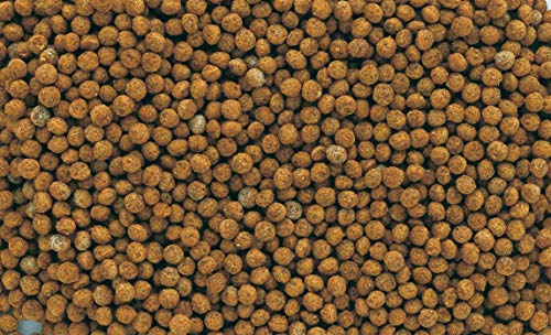 Tetra Goldfish Granules, Mangime in granuli galleggianti per Pesci Rossi e Altri Pesci d'Acqua Fredda - 250 ml