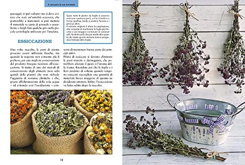 Coltiva le tue tisane. Tè e infusi - 8earn