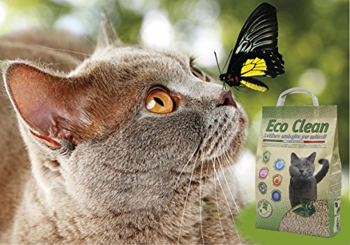 Croci Eco Clean Litter 10 L - Clumping Cat Litter, Biodegradable, flushes down the toilet, 100% vegetable, Long lasting Anti-odor Sand
