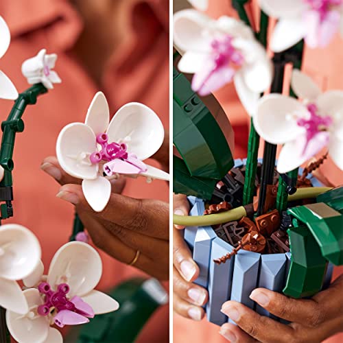 LEGO 10311 Icons Orchidea, Set per Adulti da Collezione, Modellismo e Hobby Creativi, Modellino da Costruire con Fiori Finti, Idea Regalo per Adulti - 8earn