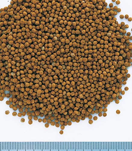 Tetra Goldfish Granules, Mangime in granuli galleggianti per Pesci Rossi e Altri Pesci d'Acqua Fredda - 250 ml
